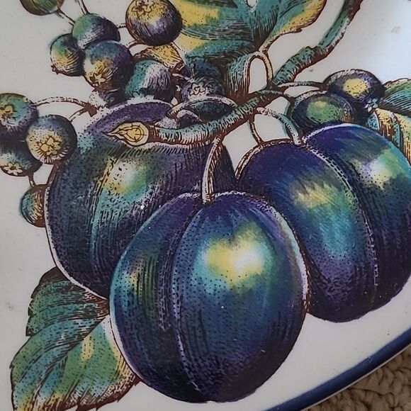 PIER 1 MACINTOSH Earthenware Angleterre Fruit Round Dinner Plate and stand home - Picture 9 of 16